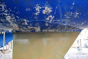 Aquarius Marine Coatings Coppercoat cost effective multi season environmentally responsible marine antifoul bottom paint - 5165938559_ba6d9d5066